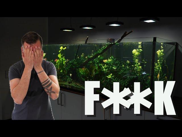 EXTREMER Cyanobakterienbefall in 980 Liter Süßwasseraquarium!!!