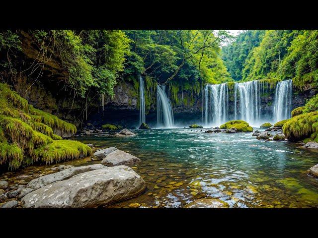 Beautiful Relaxing Music  Stop Overthinking, Stress Relief Music  Gentle Music