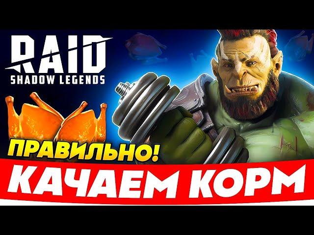 ПРОКАЧКА ГЕРОЕВRaid Shadow Legends ️Советы 2025