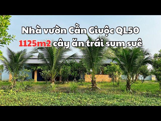 Nhà vườn nghỉ dưỡng Quốc Lộ 50 giáp Bình Chánh DT 1125m2 | Bán Nhà Bình Chánh | Nhà Đất Trang Anh