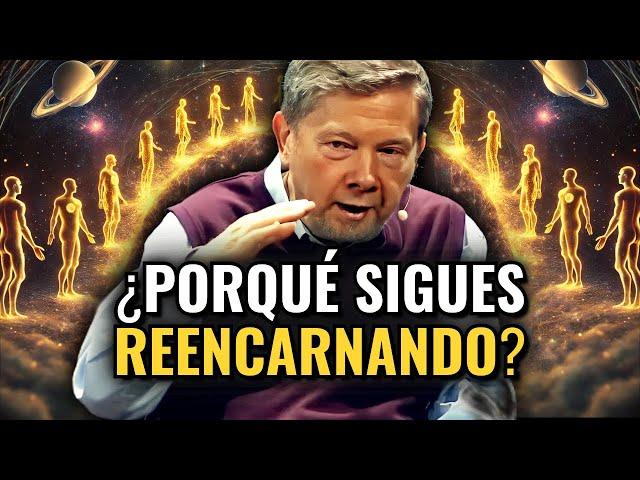 ¿Cuántas REENCARNACIONES Más Necesitas para DESPERTAR? | Eckhart Tolle Español