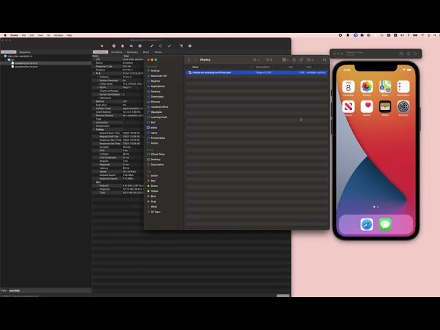Charles Proxy + iOS simulator: connect them by installing the Charles Certificate