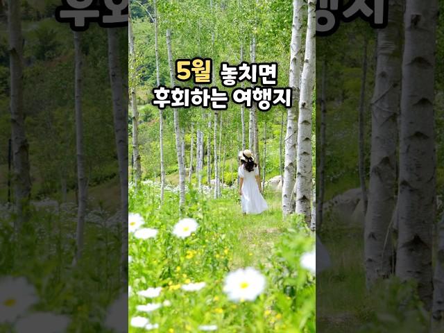 5월 가보면 좋은 여행지 | 5월 국내 여행지 추천 | 5월 가볼만한곳 | 5월 여행지 | 진천 이팝나무길,영월 작약꽃 축제,밀양 위양지,삼패지구 한강공원 #국내여행