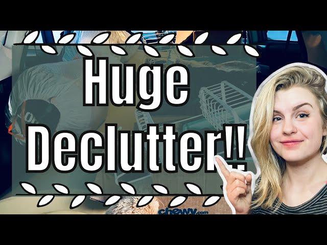 Huge Declutter Before Move!! Donated over 50% | Minimalism Journey