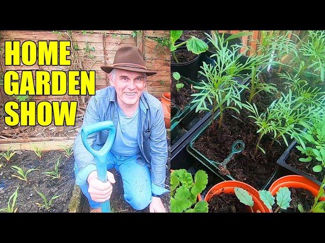 Kitchen garden at home ideas - Growing vegetables in a greenhouse and renovating neglected garden