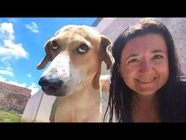 The most CRAZY DOGS in the world  Funny Dog Videos 2024