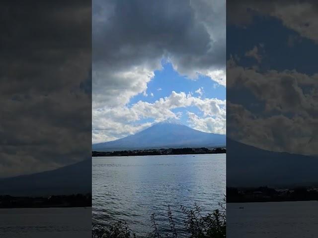 Drove past the best spot to see Mt Fuji without the crowds*hot tip:Cottage Towaga parking lot #japan