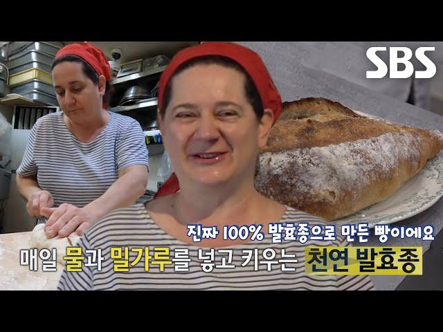 100% 건강한 빵! 프랑스 손맛이 담긴 달인의 ‘프랑스 가정식 깜빠뉴’