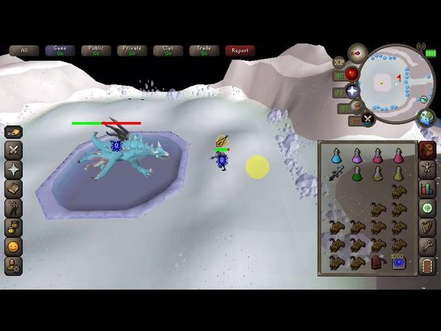 Osrs vorkath / blowpipe & bgs kill