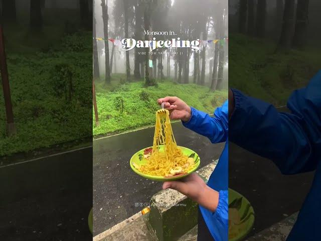 Instagram Reels #darjeeling #toytrain #toytraindarjeeling Darjeeling Tour