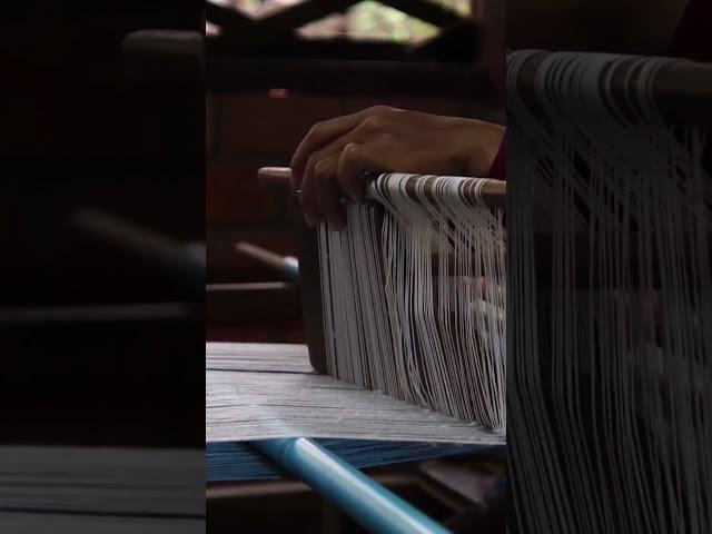 The Enchanting Tale of Silk: From China's Yangshao Culture to the Vast Silk Road Empire| SGK English