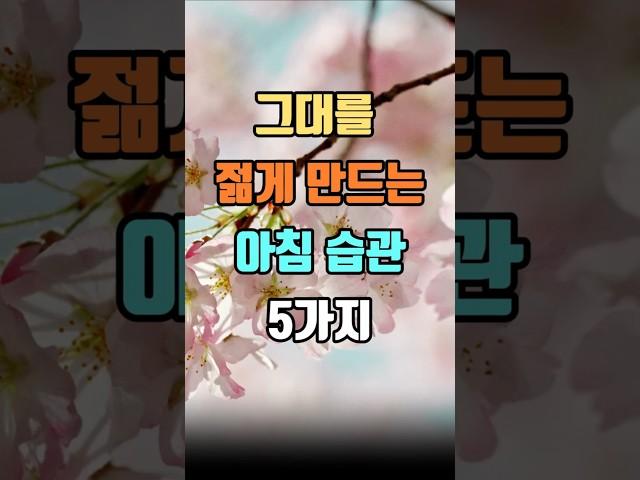 그대를 젊게 만드는 아침 습관 5가지 #인생명언 #인생조언 #마음공부 #지혜 #좋은글