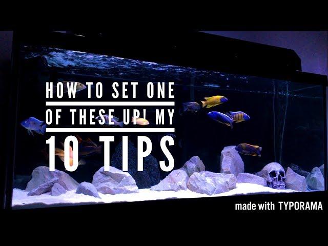 AFRICAN CICHLIDS- HOW TO SET UP A TANK & KEEP THEM HEALTHY | 10 TIPS