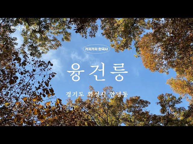 [ASMR] 왕릉의 만추. 화성 융건릉 1시간 낙엽길 산책
