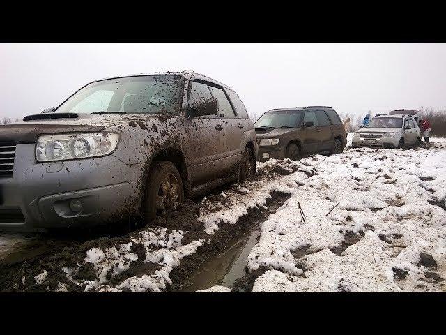 Субару Форестер разных поколений в грязи. Раскисшее поле. Бездорожье турбо оффроад