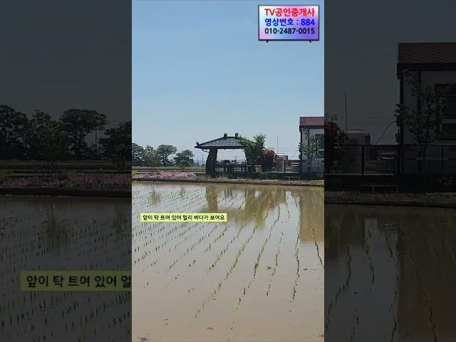 884 바다가 보이는 청하면 덕천리 토지! 전원주택지로 추천드려요 주말농장용으로 딱! 포항 청하면 땅 #부동산