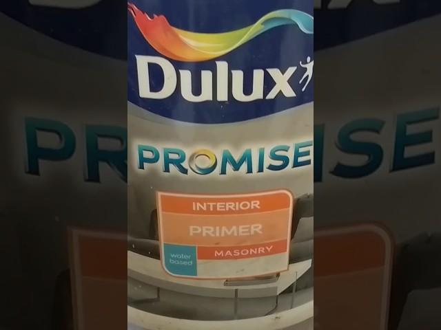 Dulux PROMISE paints #wallartisthd #dulux #painting #aqua