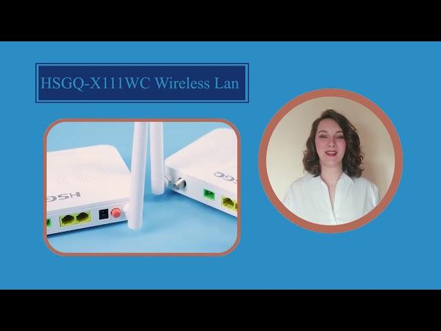 Revolutionize Your Network With X111wc Wireless Lan169 | HSGQ · Telecom