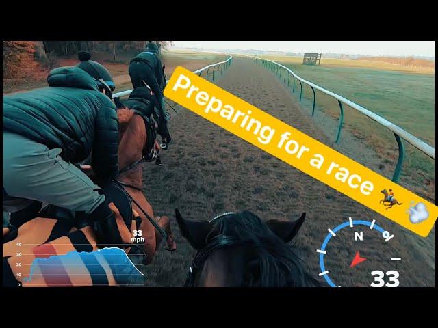 GoPro footage of racehorses galloping