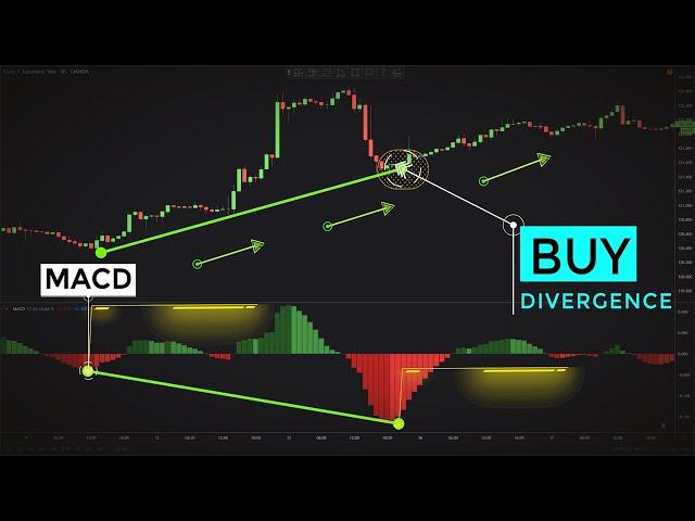 Trading MACD Divergences Like Professional Traders (Forex & Stocks Strategy)