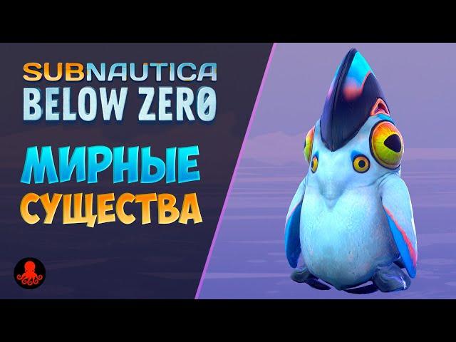 ВСЕ МИРНЫЕ СУЩЕСТВА Subnautica Below Zero