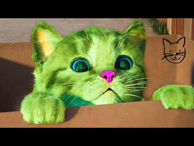 SPECIAL LITTLE KITTEN ADVENTURE - NEW FUN PET CARE AND CAT ADVENTURE - LONG CARTOON SPECIAL