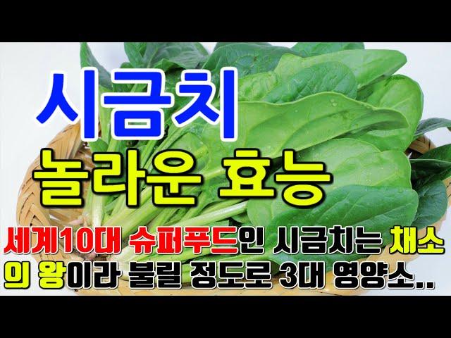 시금치의 놀라운 효능 8가지 & 부작용 / "시금치로 채우는 영양의 공간, 건강한 몸과 마음을 위한 선택"