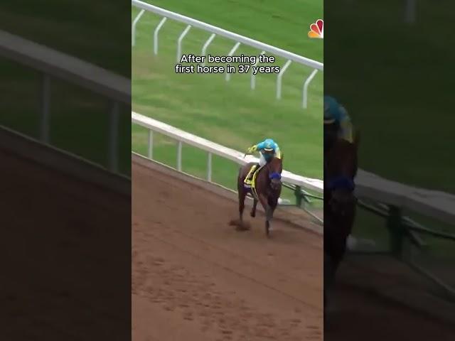 The First Horse In 37 Year’s To Win The Triple Crown…  #BC23 #AMERICANPHAROAH