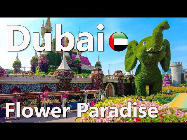 Dubai Miracle Garden Flower Paradise Walking Tour 4K 