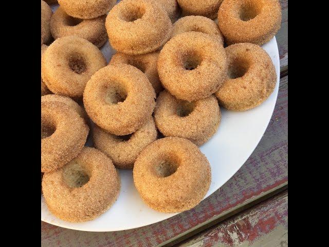 Vegan Gluten Free Mini Donuts