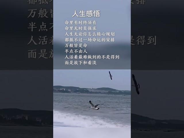 这扯淡的人生，有太多的无奈 #人生感悟 #audiobook #情感 #智慧 #书语 #人生 #励志 #chinese #literature #books #感情 #名人名言 #好文 #正能量