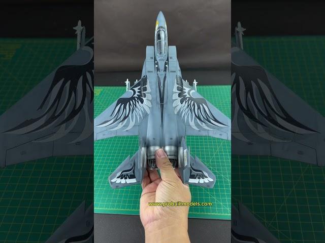 1/48 F-15C Eagle Strike (Revell) #probuiltmodel #scalemodelling #scalemodels