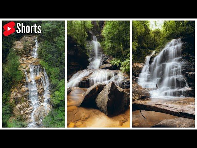 Sylvia Falls | #shorts #tongchristopher