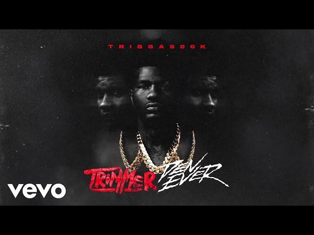 Trigga500k - NahFr (Official Visualizer)