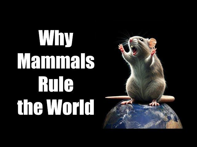 Why Mammals Rule the World