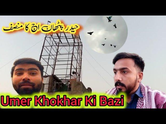 Umer Khokhar ki Bazi || khokhar pigeons club || haider pathan pigeons || kabootar bazi