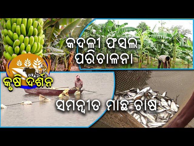 Krushi Darshan || କୃଷି ଦର୍ଶନ || 09 Sept 2024