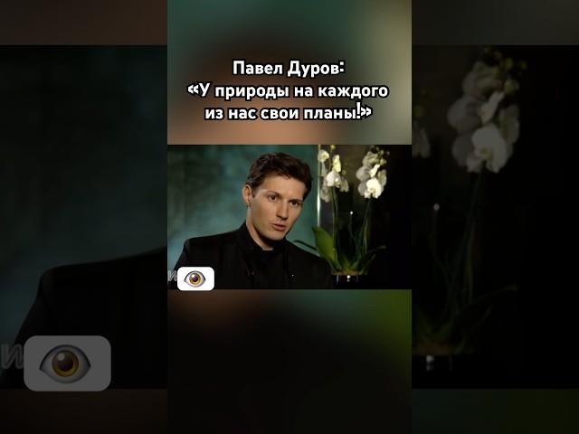 Павел Дуров: «Не тупи!»  #павелдуров #дуров #озвучка #знаменитости