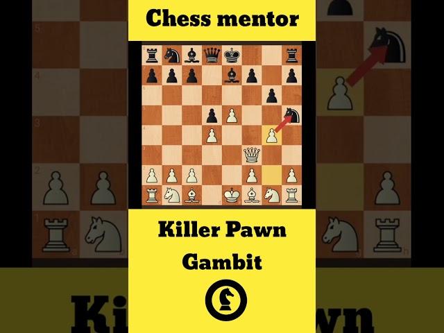 Pawn Gambit | Chess mentor | Killer Pawn Gambit