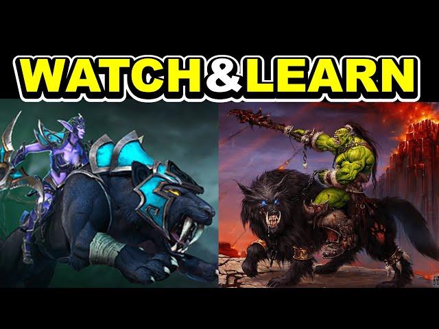 How to PLAY HUNTS PROPERLY! Warcraft 3 Direct Strike (Explained)