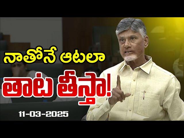 తాట తీస్తా... | CM Chandrababu Naidu Strong Warning | AP Assembly | TDP News | TV5 News