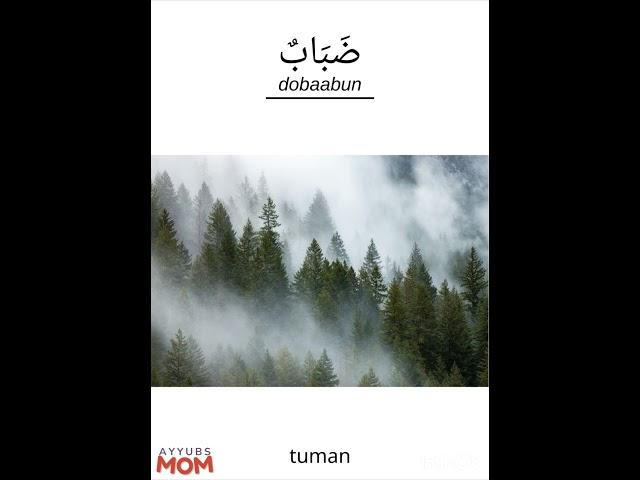 Dod harfi (doo) - Arab tilini o’rganamiz