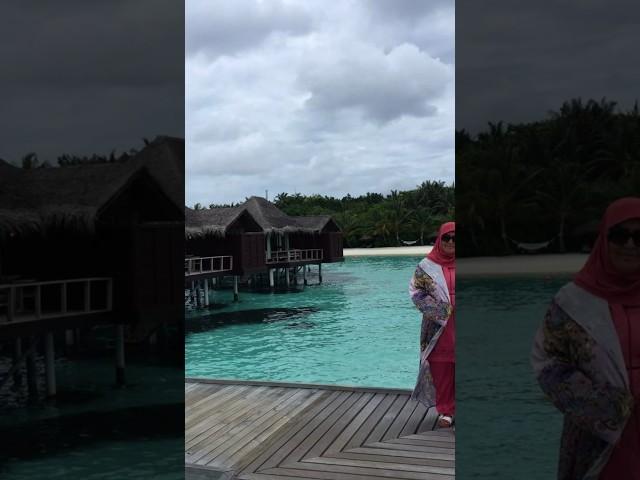 #maldivler #maldives #okyanus#tropical  #dhiguresort#travel #anantaraveli #gezelimgörelim#kokonat#