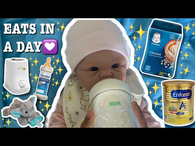 What My Silicone baby Eats In A Day| Reborn’s World