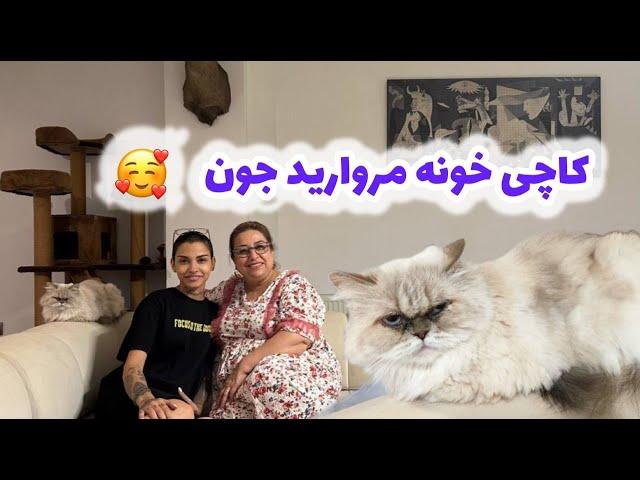 ولاگ مهمانی خونه مروارید جون با نمایش تابلوهای زیبا و پخت کاچی خوشمزه 