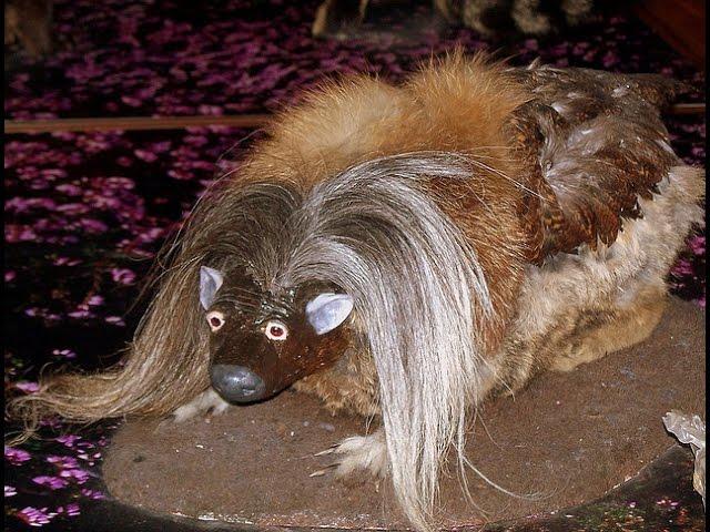 Cryptids and Monsters (CRYPTID OF THE WEEK): Wild Haggis, creature of Scottish folklore, is haggis