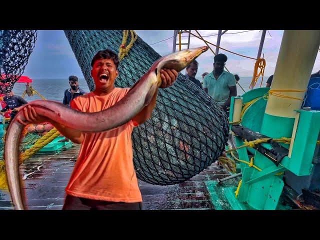 Amazing Fishing! Biggest ! Eel fish caught | Wow We Caught tTons Of Variety Fishes In Single Catch