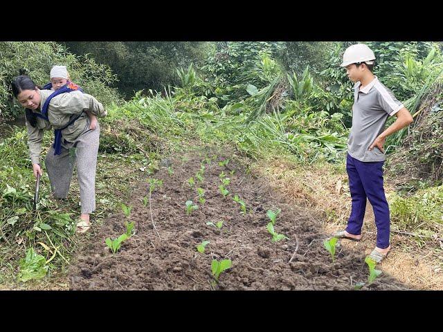 Kind Engineer visited the single mother who was hoeing the land to grow vegetables