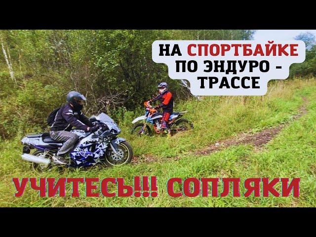 На спортбайке в дебри, поля, леса и лужи