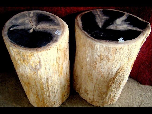 Petrified Wood Stool